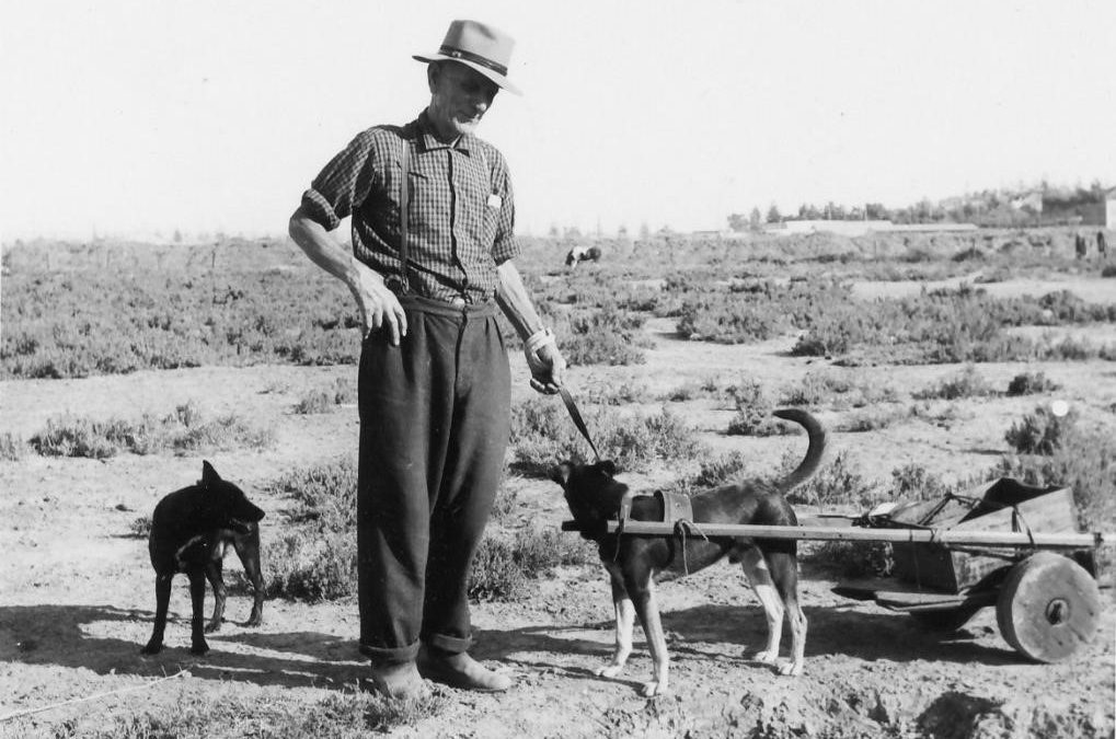 Bruce Gray (alias Saltbush Bill)