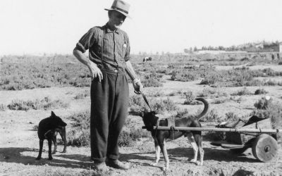 Bruce Gray (alias Saltbush Bill)