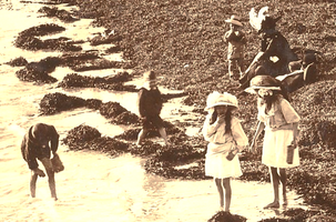 Sailboats, Swimming and Sandcastles!